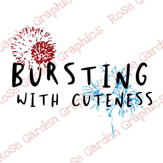 Firework Bursts “Bursting with Cuteness” PNG