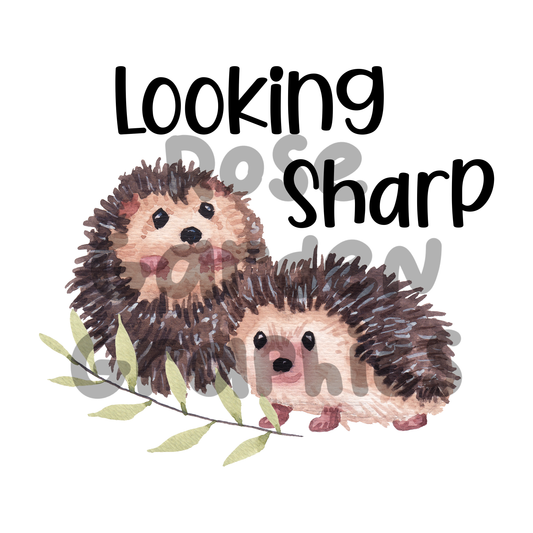 Hedgehogs "Looking Sharp" Seamless Image