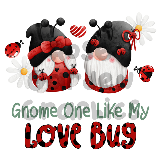 Ladybug Gnomes "Gnome One Like My Love Bug" PNG