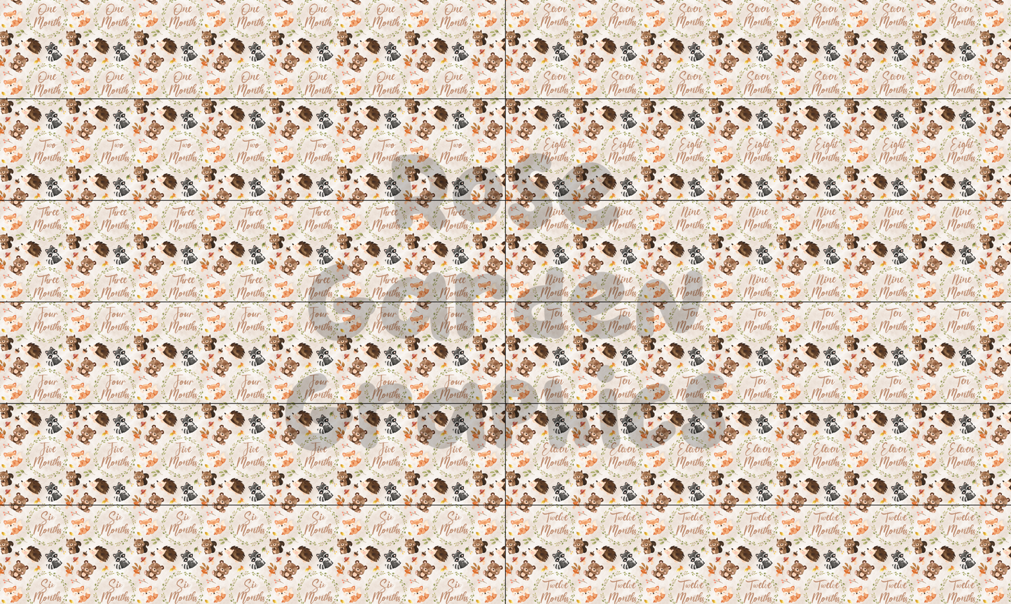 Archivo de yardas 12 en 1 Milestone de animales del bosque