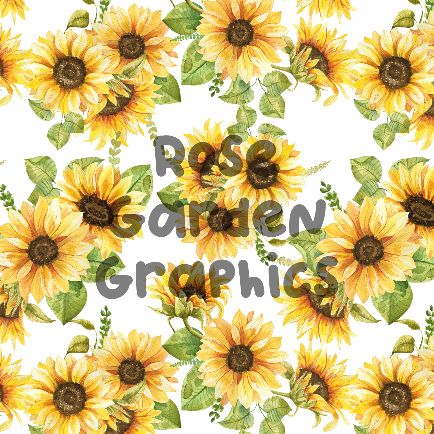 Colección de imágenes sin costuras de girasoles en sólidos