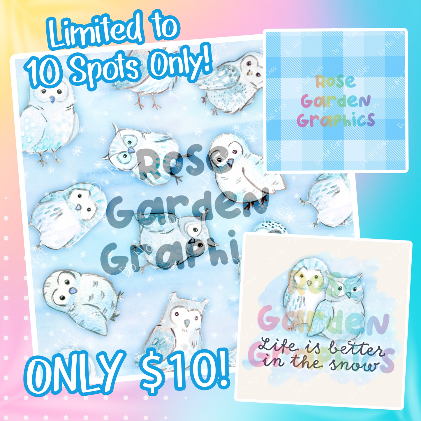 LIMITED 10 Spots Only- Snowy Owl Cartoon Set