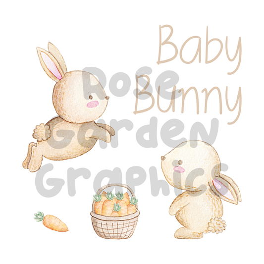 Baby Bunny "Baby Bunny" PNG