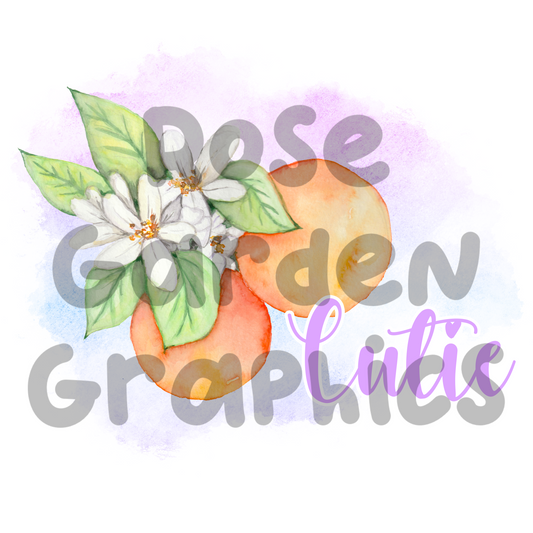 Orange Clementines "Cutie" PNG