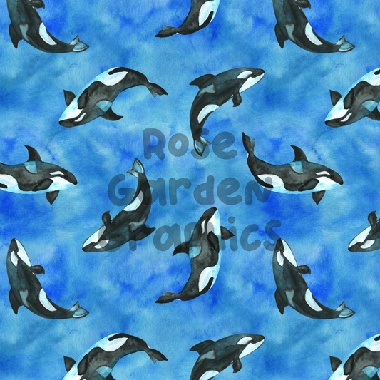 Imagen perfecta de orcas