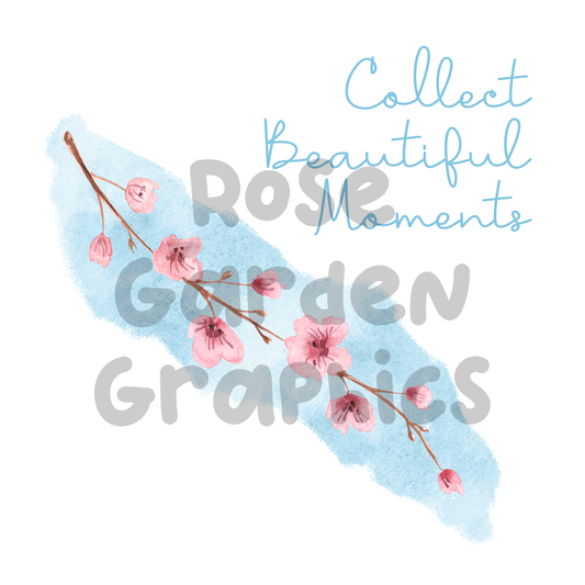 Spring Blossoms "Collect Beautiful Moments" PNG